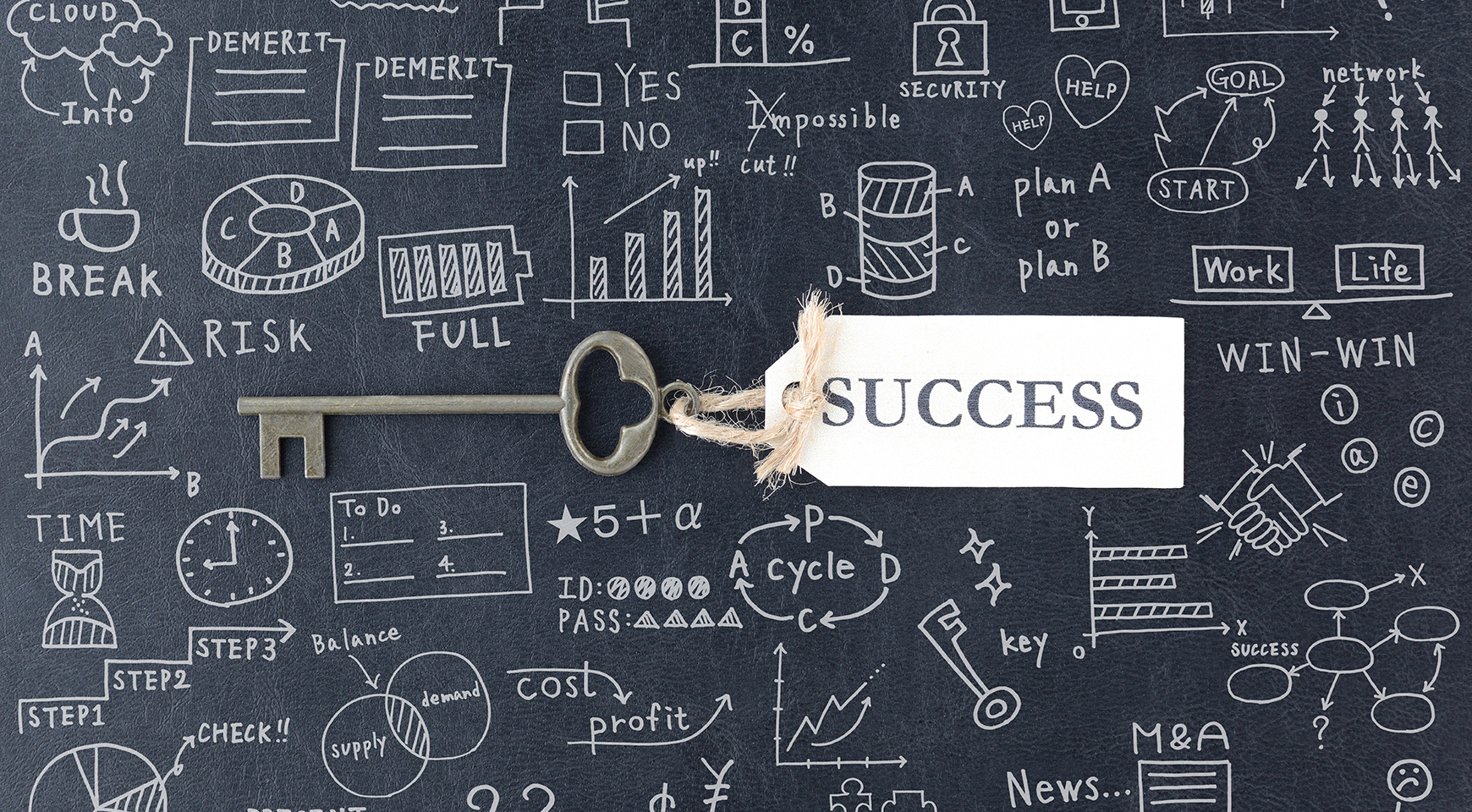 Web / デジタルマーケティング